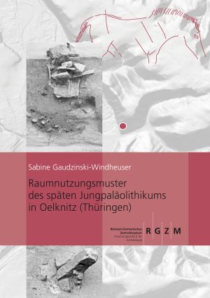 Cover: Raumnutzungsmuster des späten Jungpaläolithikums in Oelknitz (Thüringen)