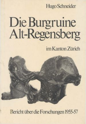 Cover: Die Burgruine Alt-Regensberg im Kanton Zurich